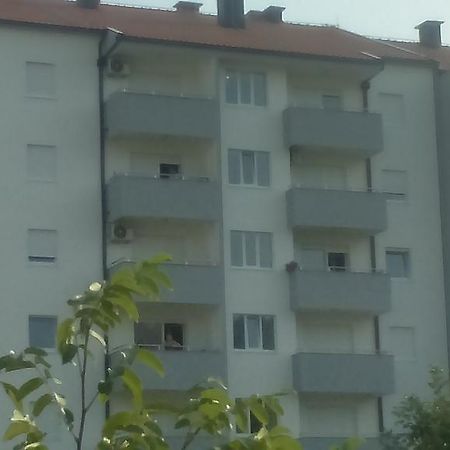 Apartman Pazin تريبينيي المظهر الخارجي الصورة