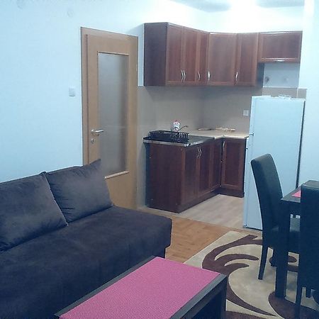 Apartman Pazin تريبينيي المظهر الخارجي الصورة